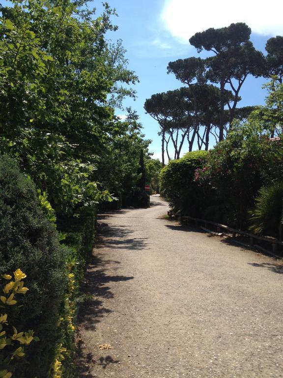 Camping Paradiso Viareggio Exterior photo